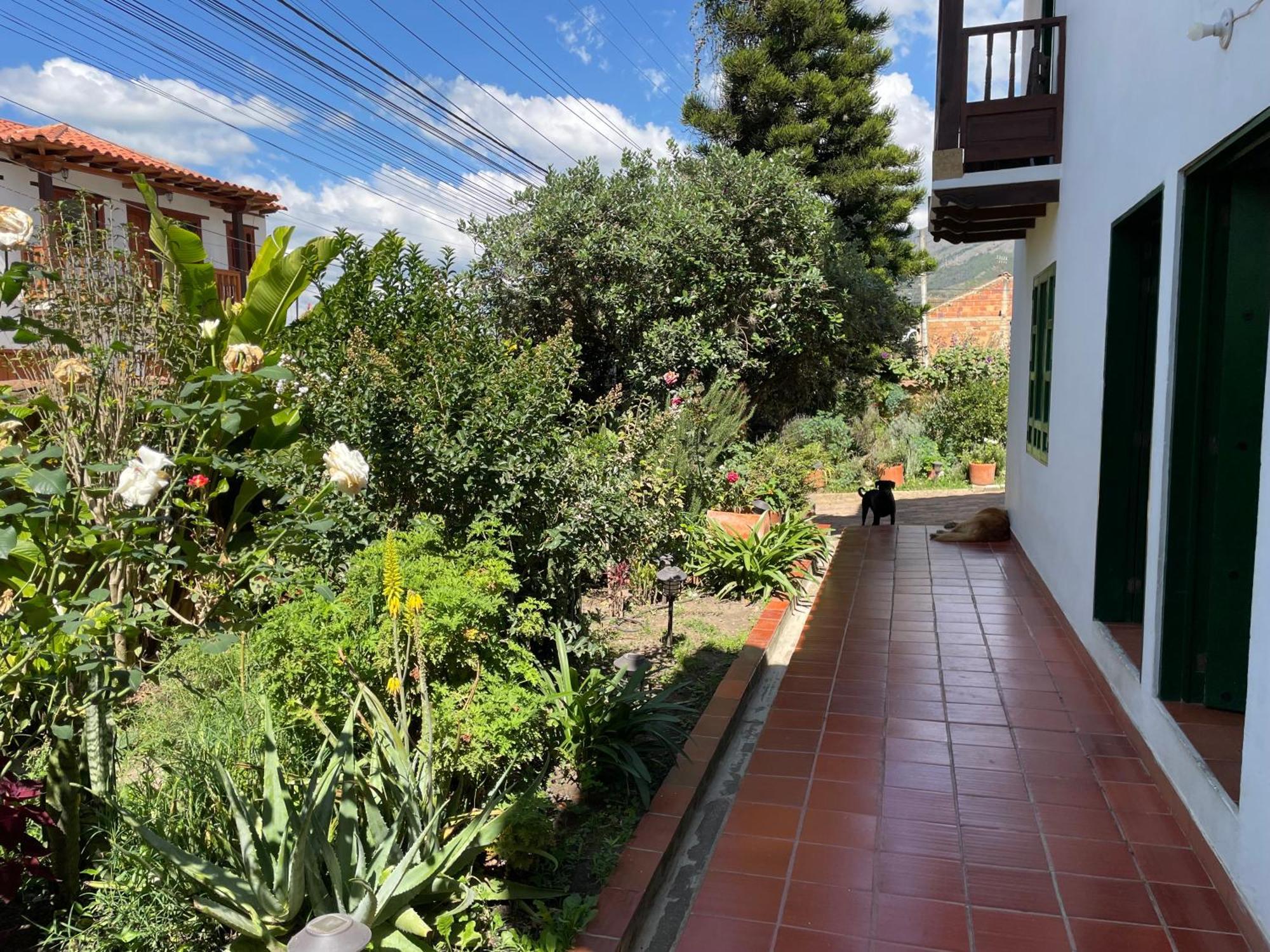 Hostal El Pino Villa de Leyva Eksteriør billede