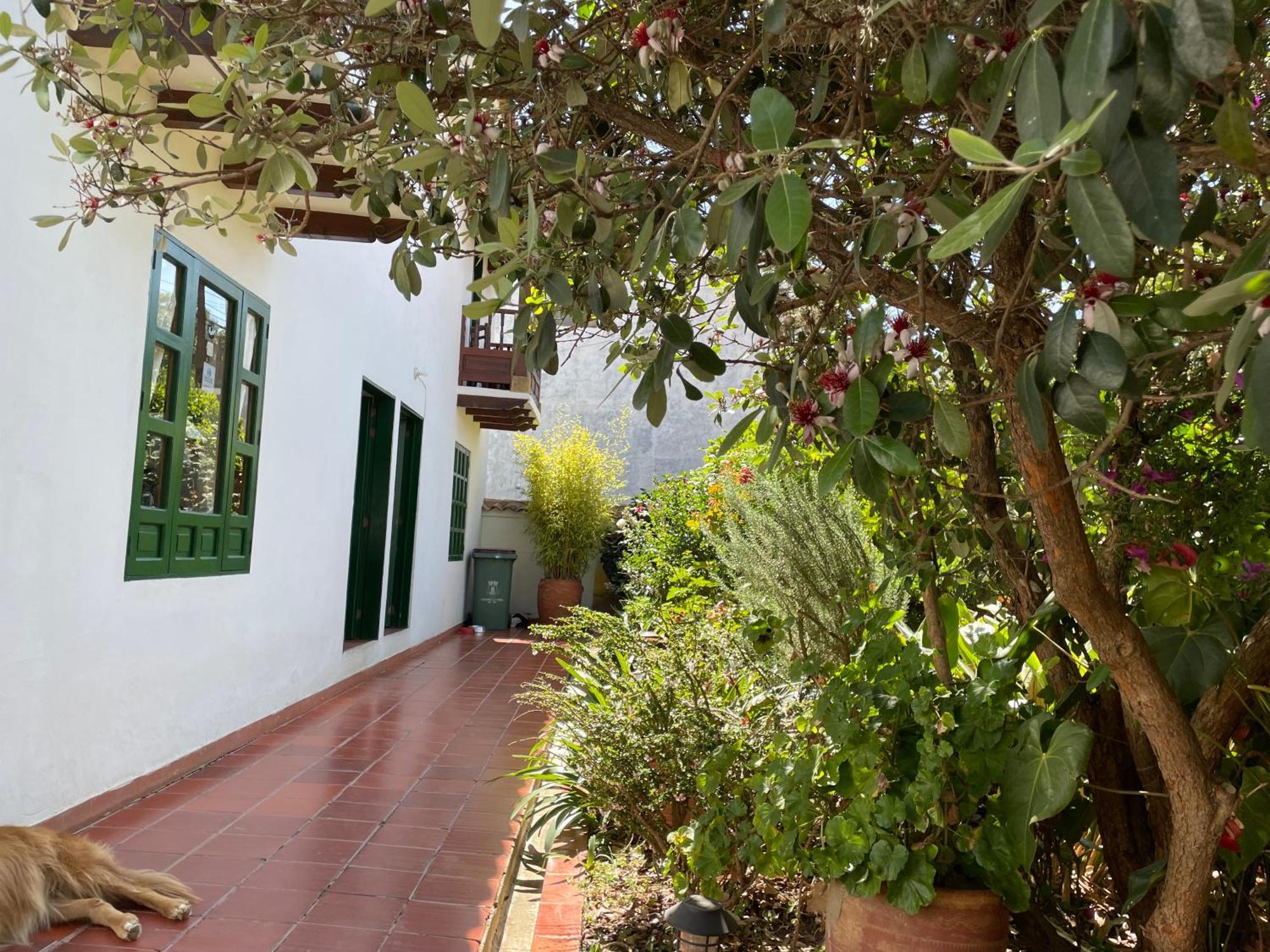 Hostal El Pino Villa de Leyva Eksteriør billede